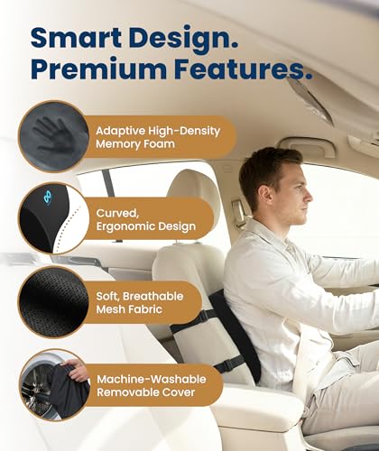 Everlasting Comfort Lumbar Support Pillow for Office Car or Couch - Black Mesh