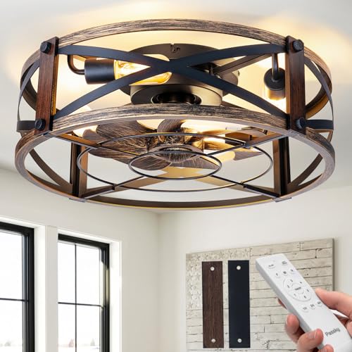 Black Brushed Gold 20-Inch Caged Ceiling Fan with Lights & Remote - Low Profile Fandelier