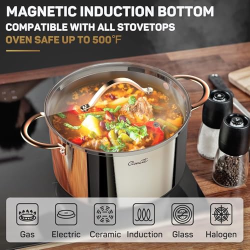 8 Quart Stock Pot with Lid - Tri-Ply Stainless Steel Induction Compatible