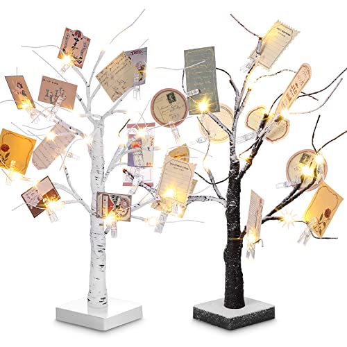 Coume 2-Pack Money Tree Gift Holders with 18-Inch LED Lights & Clips