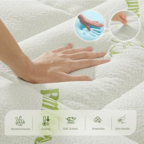 GRUSIGN Queen Memory Foam Mattress Topper 4 Inch Dual Layer Gel & Plush Pillow Top, Green, Deep Pocket