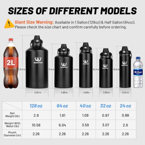 Premium Black 1 Gallon Insulated Water Bottle Leak Proof with Carrier Bag