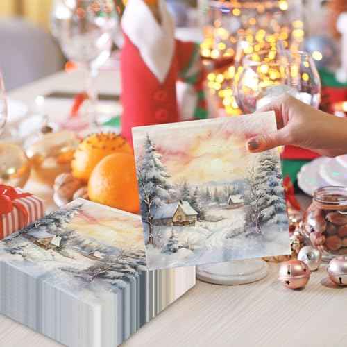 Winter Wonderland Decorations-40pcs Winter Wonderland Napkins Christmas Snow House Paper Napkins, Winter Landscape Villa Snow House Scene Paper Napkins for Xmas Holiday Party Supplies