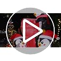 GOOSH 6.5 ft Christmas Inflatable Penguins with Santa Mailbox—LED Lighted Outdoor Yard Decor
