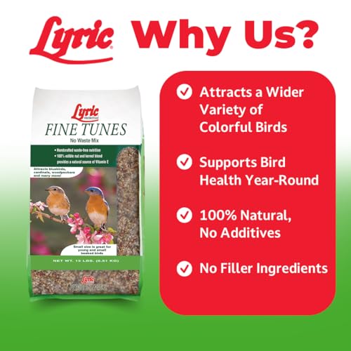 Wild Bird Seed Mix - No Waste Attracts Bluebirds, Finches, Chickadees - 15 lb Variation of Seed Mix / 15 Pound
