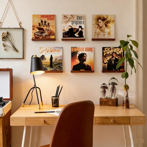 Walnut Wall Mount Vinyl Record Display Shelf Set - No Drill 10 Pack