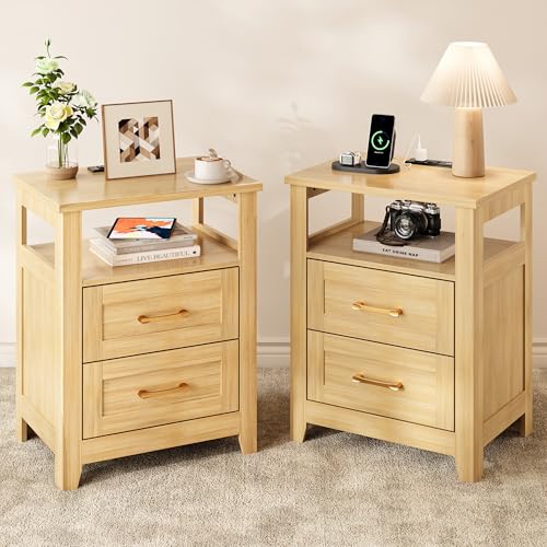 Decofy Farmhouse Oak 2-Drawer Nightstand Set of 2 with Charging Station