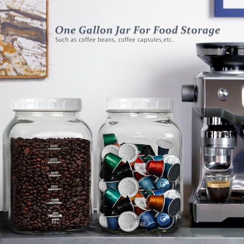 Folinstall 1 Gallon Glass Mason Jar with Lid - Large Wide Mouth Storage Container
