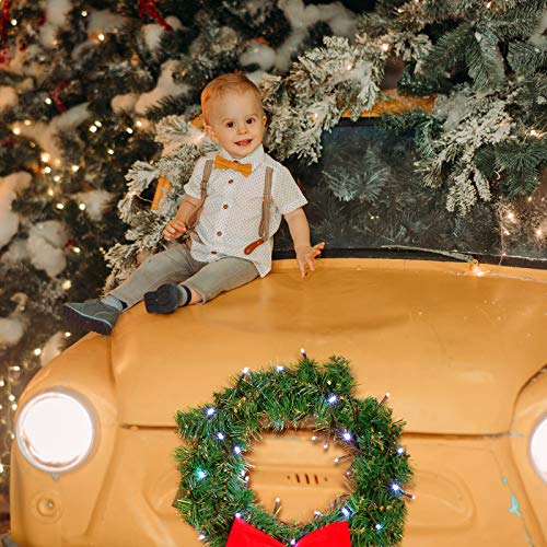 Honoson 11.8 Inch LED Christmas Wreath for Car with 5 Nylon Ties