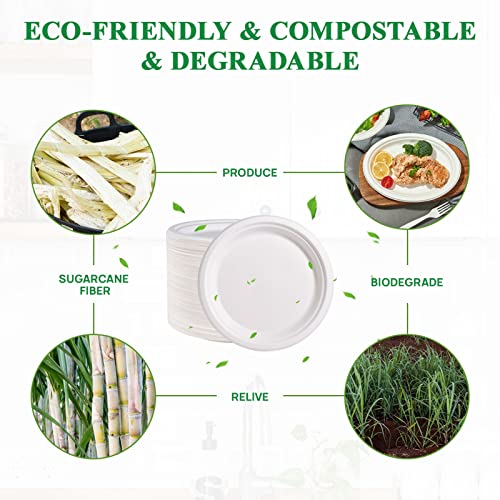 9-Inch Compostable Sugarcane Fiber Paper Plates - 500 Pack, White