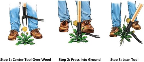 Grampa's Weeder - Original Stand Up Weed Puller & Hand Weeder Tool Bundle for Effortless Weed Removal