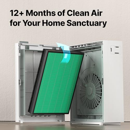 Coway Airmega 150 Replacement Filter Set - HEPA & Activated Carbon for Air Purifier AP-1019C