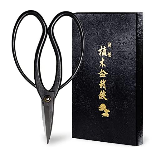 Hanafubuki Wazakura Bonsai Scissors Made in Japan 7inch(180mm),