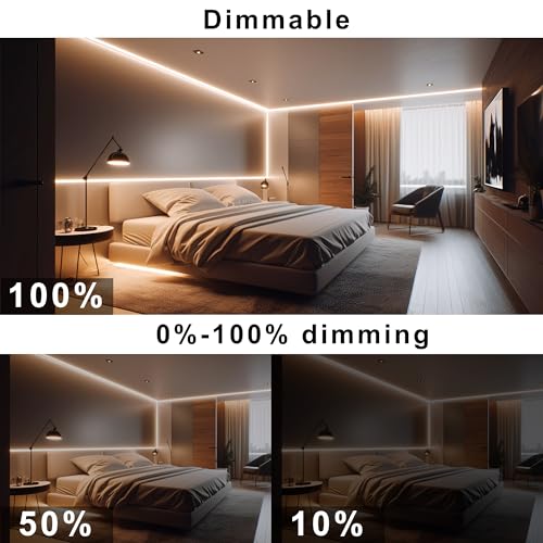 Warm White 3000K COB LED Strip Light 32.8ft with Remote, UL Power Supply, Dimmable