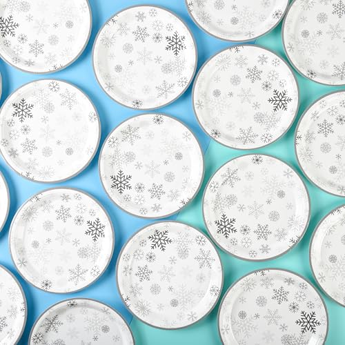 AimFun 48 Pcs Grey Snowflake 7-Inch Dessert Plates - Disposable Christmas Party Tableware