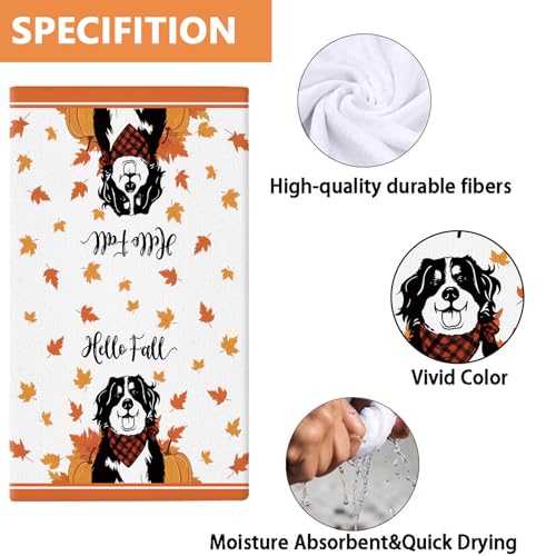 Bernese Mountain Dog Kitchen Towels - 11 Pcs 14x21 Inch Holiday & Gift Set