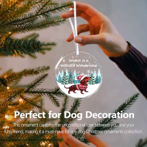 Christmas Ornaments 2025 - Dachshund Christmas Decorations Weiner Dog Decor Dachshund Gifts for Women Glass Christmas Dachshund Ornament with Box