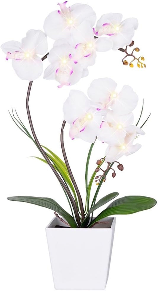 Pre-Lit Artificial Orchid Arrangement - LED Orchid Plant with 9 Lights (White)