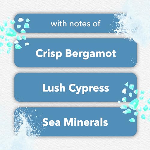 Glade PlugIns Air Freshener Refills Sea Mist & Cypress 6.7 Fl Oz - 10 Count Variation