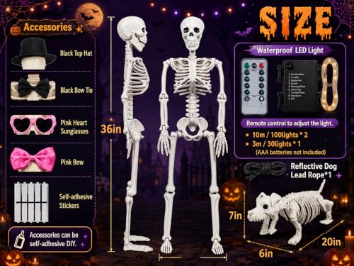 Gleemoria 3PC Halloween Skeleton Decorations Set - Life-Size Skeletons & Dog, Adjustable, Waterproof Lights