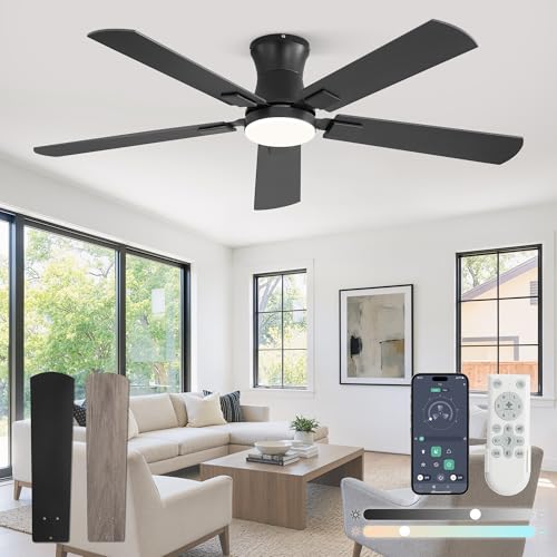 Black 52 Inch Ceiling Fan with Light Remote Control Low Profile Modern Fan