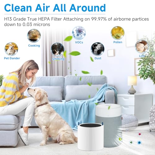 Smilyan 2 Pack Blue Pure 511i Max Air Purifier Filter Replacement for Blueair 511i Max
