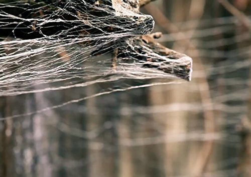 The Webcaster Gun Outdoor Halloween Spider Web Shooter for Realistic Cobwebs