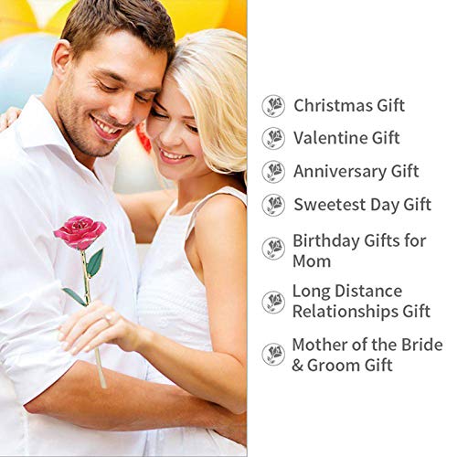 Pink Blooming Rose Gift - 24K Gold Dipped Real Rose for Mother’s Day, Valentine's, Christmas & Birthdays
