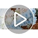 34.25 Inch White Artificial Delphinium Flowers Bulk 50 Stems for Floral Arrangements