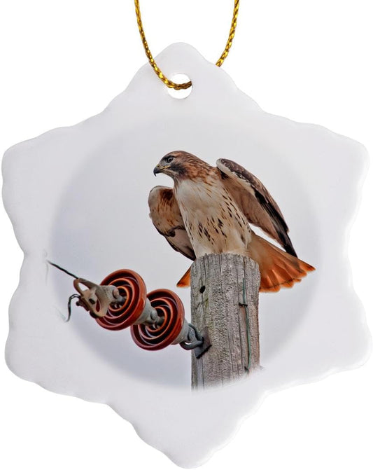 Red-Tailed Hawk Snowflake Ornament - 3DRose Kansas Wildlife Decor, 3"
