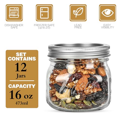 Ieavier 12 Pack 16oz Wide Mouth Mason Jars with Airtight Lids & Bands