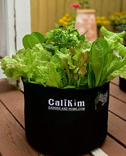Smart Pots 1-Gallon Soft-Sided Container | Durable Black Gardening Pot for Healthy Plants