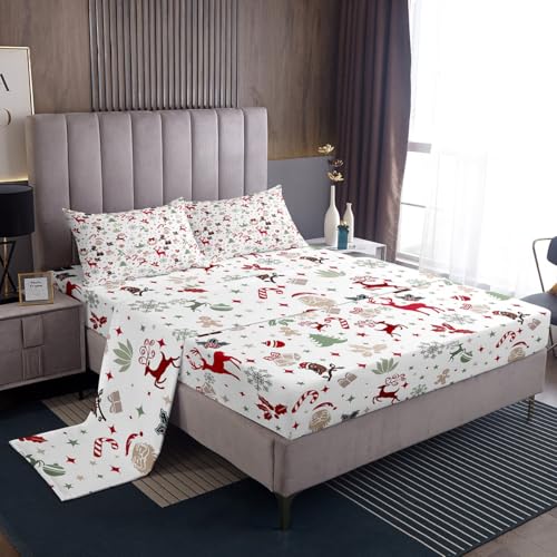 Feelyou Christmas Deer Twin Bed Sheets Set Multicolor Winter Holiday Bedding