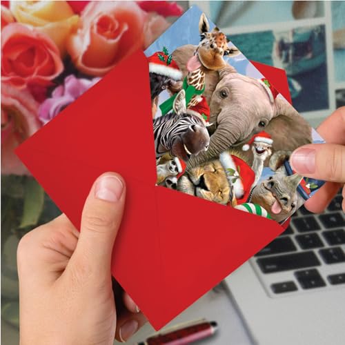Merry Christmas to Zoo - NobleWorks Boxed Cards Set of 12