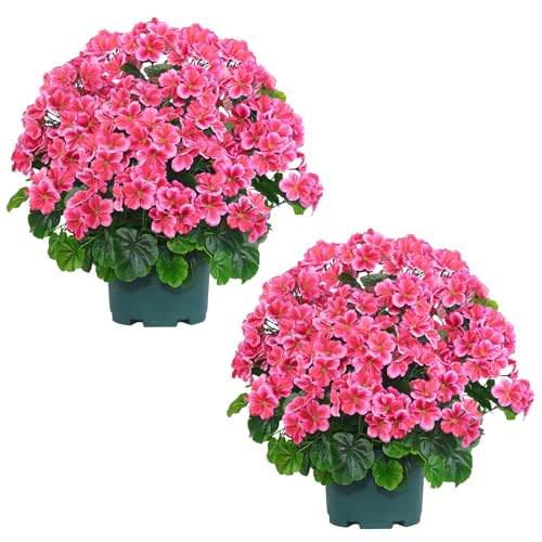 Artificial Geranium Bush - 20 Inch Outdoor Potted Faux Plant for Garden, Porch & Patio - Dark Pink, UV Resistant, 2 Pack