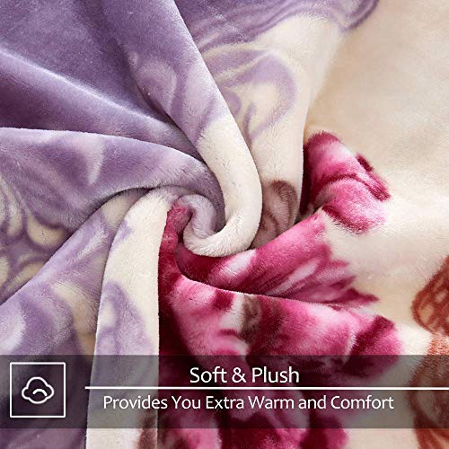 JYK Queen Size Faux Mink Fleece Blanket, 2 Ply 520GSM 5LB Blanket