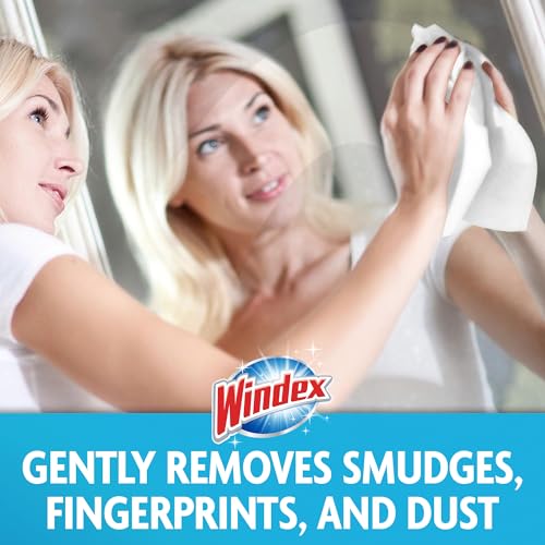 Windex Glass and Window Cleaner Wipes - 38 Count Pack of 6 - Streak-Free Surface Cleaner