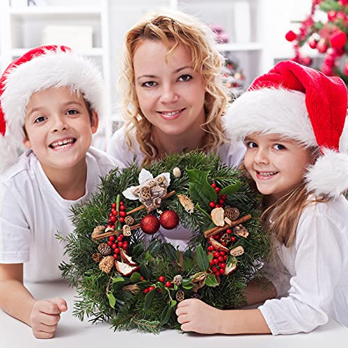 Hotop 20 Pcs 12 Inch Wire Wreath Frames for Christmas Decor (12 Inch)