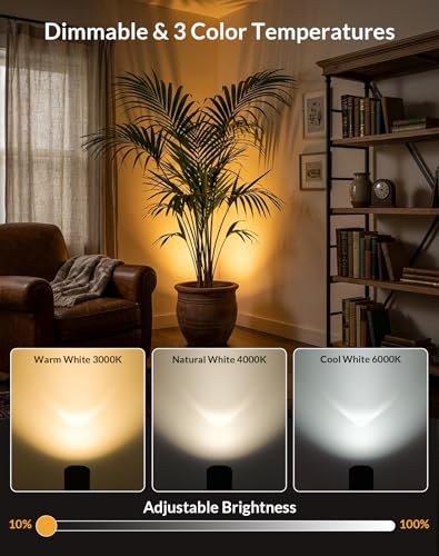 Black 2 Pack Indoor Floor Uplights with Remote & 3 CCT Dimmable Spotlight