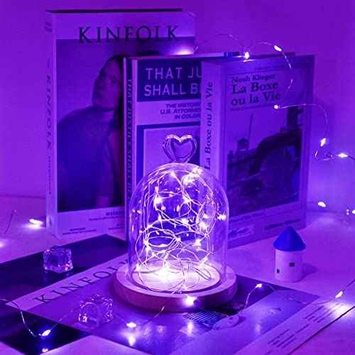LED Fairy String Lights, Battery Operated Starry Firefly Lights 6.6ft 20 LED Waterproof Silver Copper Wire Mini Lights for Mason Jar Wedding Christmas Party Decor (Purple, 5)