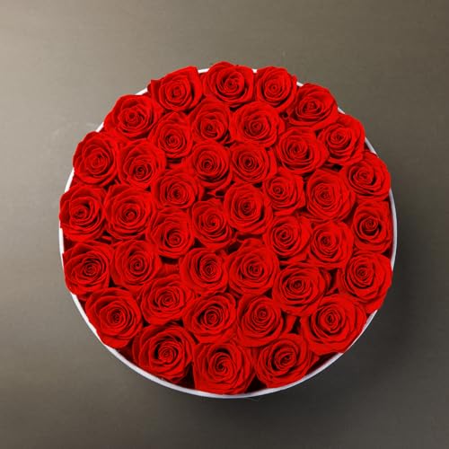 Preserved Roses Gift Box with 40 Red Roses in Velvet Box - Romantic Flower Gift for Women