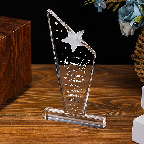 Stylish Bucherry 10 Pcs Employee Appreciation Acrylic Trophies - Thank You Awards