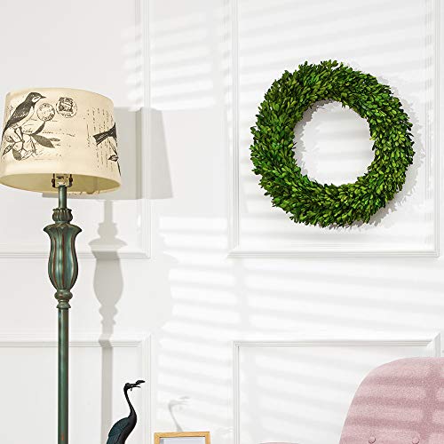 Boxwood Wreath X-Large 22 Inch Preserved Natural Green Home Decor Stay Fresh