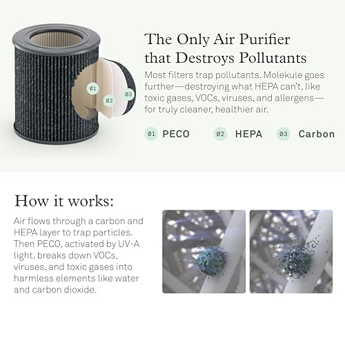 Molekule PECO-HEPA Tri-Power Filter for Mini & Mini+ Air Purifier (Medium Pack of 1)