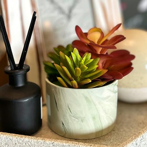 Artificial Plants Cute Colourful Succulents in Ceramic Planter Fake Plant Flowers Potted for Home Living Room Office Desk Decor Bathroom Bedroom Indoor Decoration