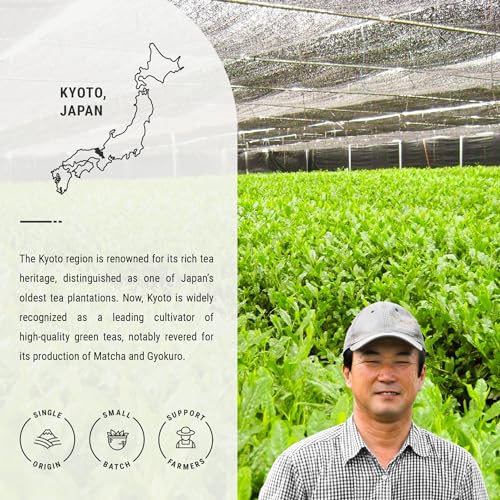 Senbird Gyokuro Shade-Grown Loose Leaf Green Tea - Isshin (1.76oz/50g)