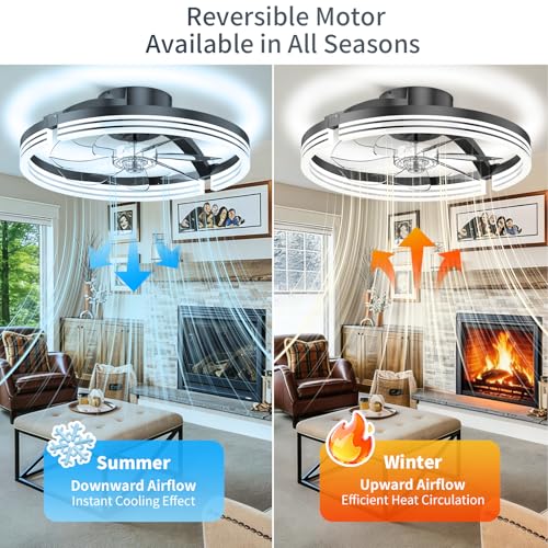 Aismillion 20 Inch Ceiling Fan with Lights & Night Light Mode - Grey