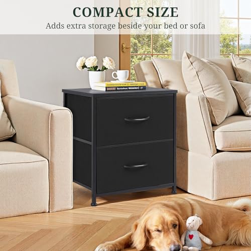 Nightstand with 2 Drawers and Wooden Top - Black Small Bedside End Table