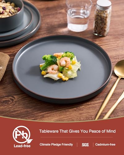 Famiware Nebula Ridge 12-Piece Charcoal Stoneware Dinnerware Set for 4