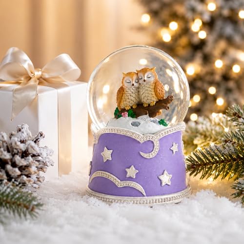 Mr.Winder Owl Snow Globe Music Box with Color Lights - Musical Decor Gift